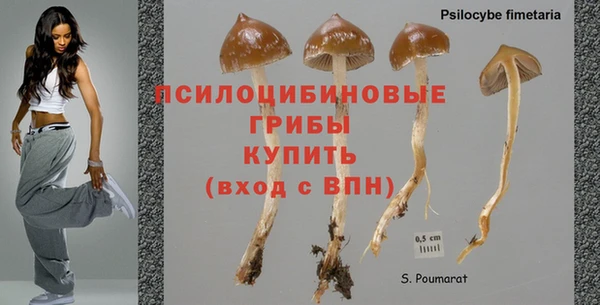 бутират Алзамай