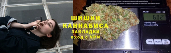 шишки Алексин