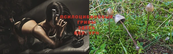прущая мука Абинск
