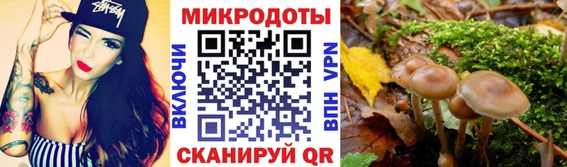 Псилоцибиновые грибы мицелий  как найти   Тюкалинск 